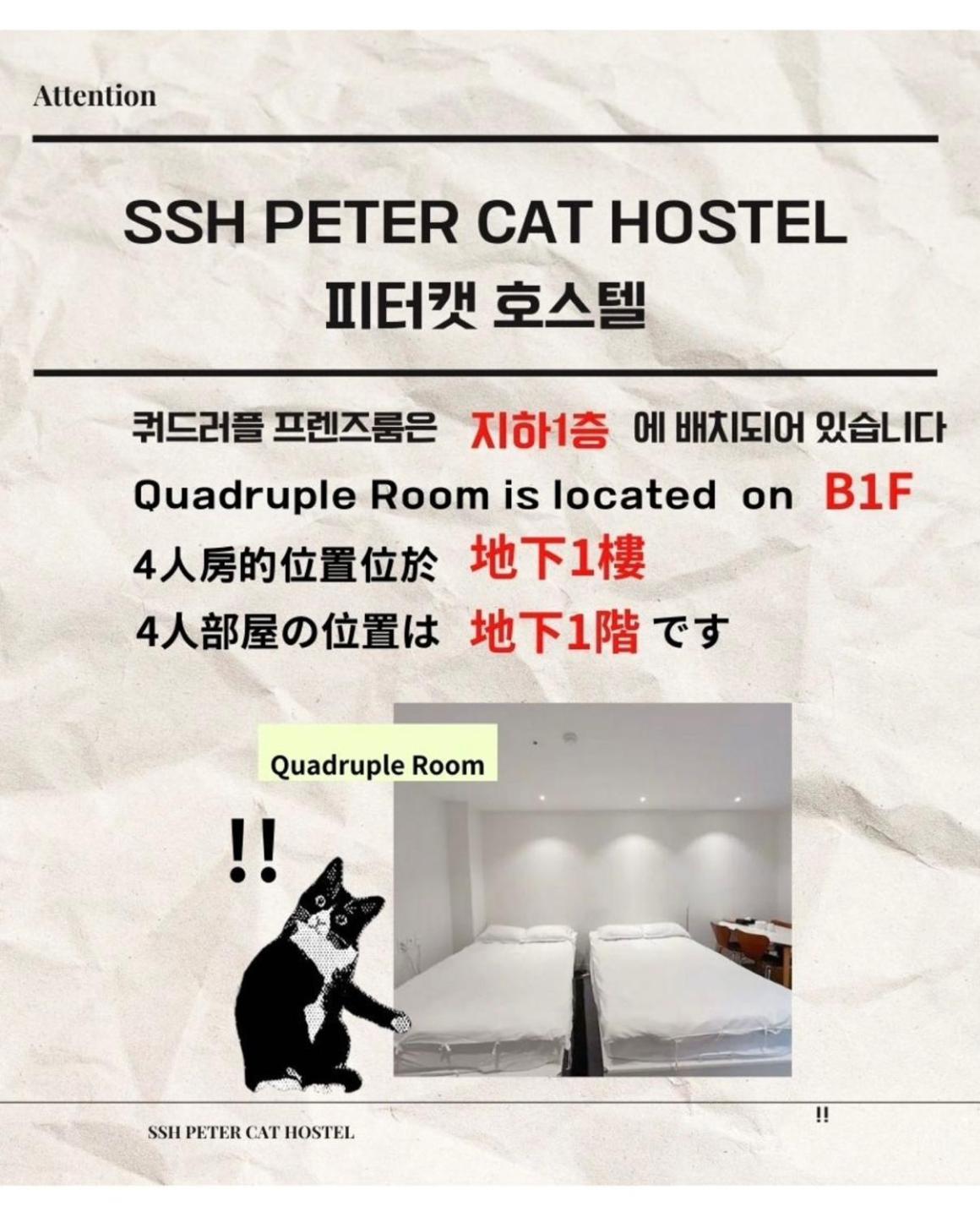 Ssh Ikseon Peter Cat Hostel Seoel Buitenkant foto